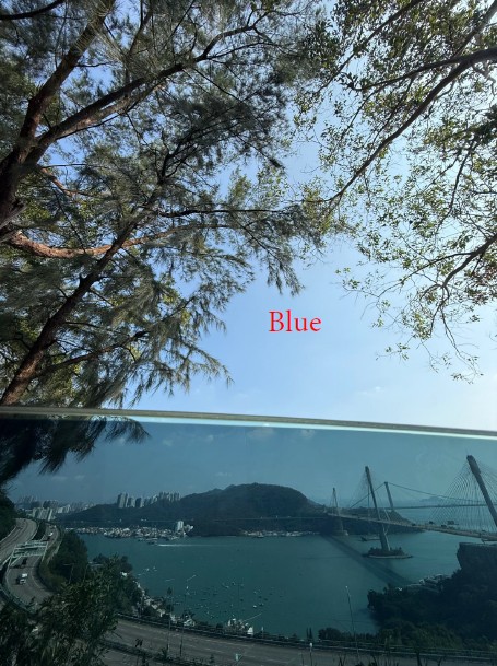 Flexi-Tint (Pre-Cut & Removable)